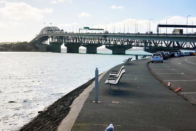Auckland City Halfday Guide Tour - Mount Eden (Maungawhau): The Volcano Stop That Feels Like a Viewpoint Cheat Code