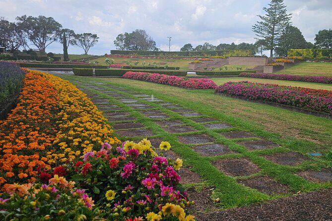 Auckland City Halfday Guide Tour - Parnell Rose Gardens and the Stories Behind the Flowers