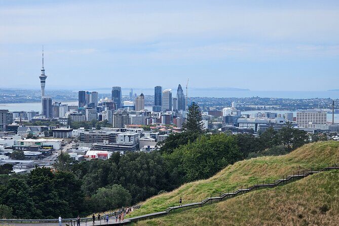 Auckland City Halfday Private Tour - Mission Bay’s Sand and Lawns: Beach-Time Energy Without a Long Commitment