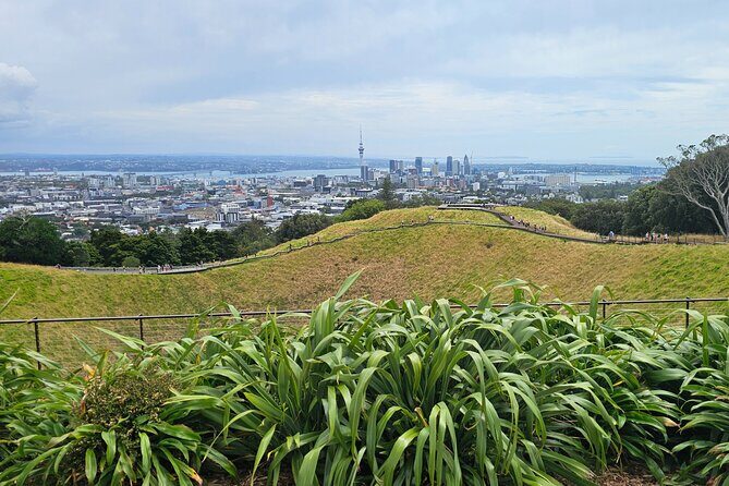 Auckland City Halfday Private Tour - Guides Like James or Se Mok Kim: Friendly, Quick, and Useful