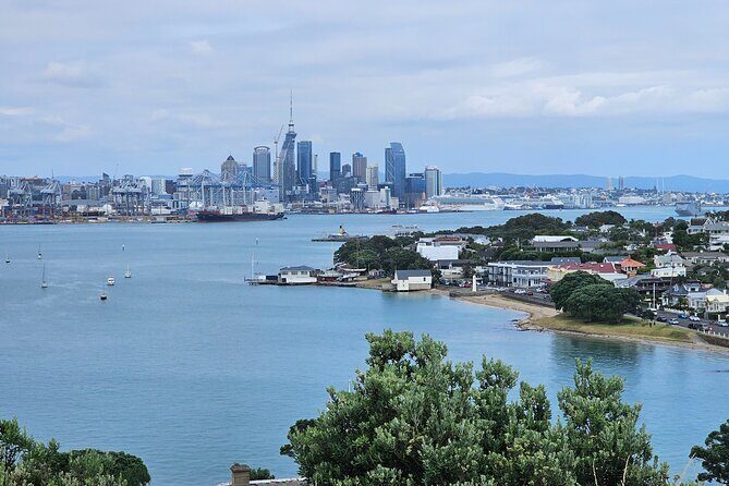 Auckland City Halfday Tour - Westhaven Marina: Almost 2,000 Yachts and a Proper Promenade