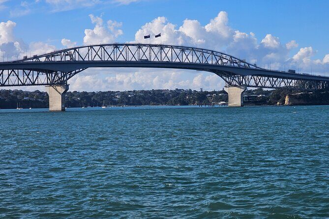 Auckland City Halfday Tour - Kauri Glen Reserve: Native Forest with Ancient Kauri Feel