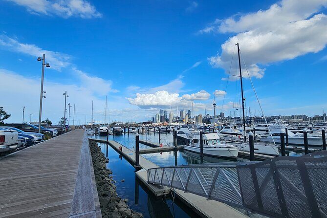 Auckland City Halfday Tour - Guide, Comfort, and the Private-Tour Advantage