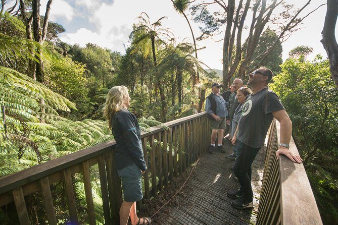 Auckland City Highlights, Afternoon Piha Beach & Rainforest Tour - Key things to know before you go