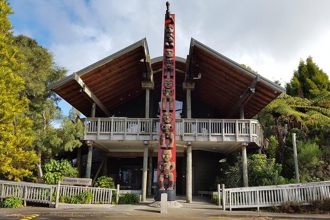 Auckland City Highlights, Afternoon Piha Beach & Rainforest Tour - Rainforest walk and kauri: what that 45 minutes actually gives you