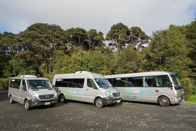 Auckland City Highlights, Afternoon Piha Beach & Rainforest Tour - Logistics that matter: timing, group size, and the bus factor