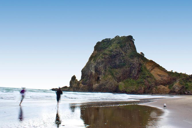 Auckland City Highlights, Afternoon Piha Beach & Rainforest Tour - Morning city loop: Queen Street, Ponsonby, and the bridge to the North Shore