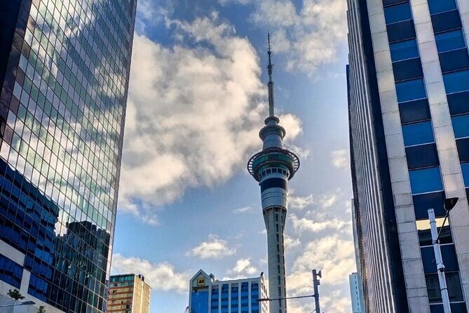 Auckland City Highlights Full Day Tour - Mount Eden and Domain Wintergardens: Walking Breaks That Reset Your Brain