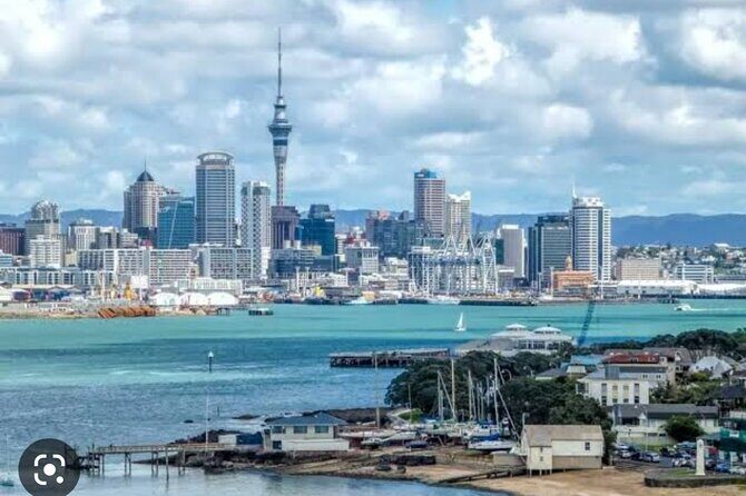 Auckland City Highlights Full Day Tour - Price and Value: Is $179 a Good Deal?
