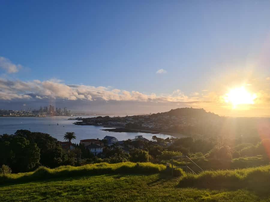 Auckland City Highlights Half Day Tour - Key highlights that make this tour worth your time