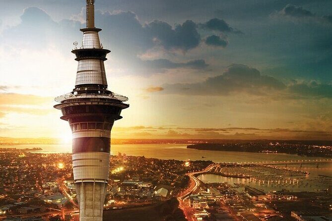 Auckland City Highlights Private Tour - Why this Auckland half-day tour works so well for first-timers