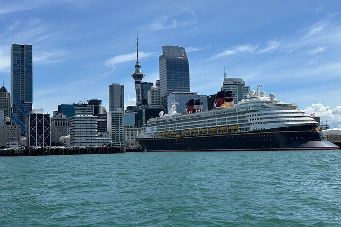 Auckland City Highlights Tour by Car or Van - A green-area mystery stop: the “locals know” angle
