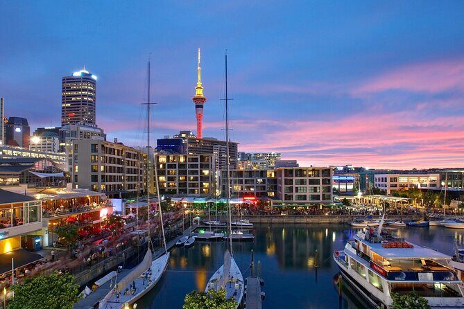 Auckland City Hotel to Cruise Ship Transfer by SUV - Who This Auckland Cruise Transfer Fits Best