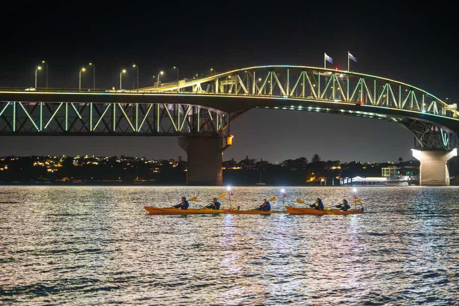 Auckland: City Lights Night Kayak Tour - Key things I’d highlight before you go