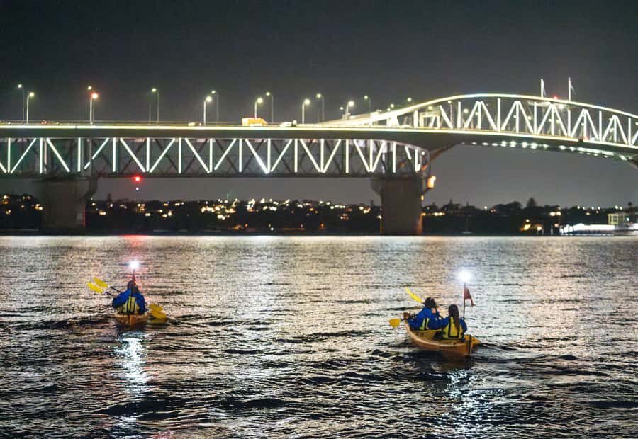 Auckland: City Lights Night Kayak Tour - Why Auckland’s inner-city night kayaking feels different