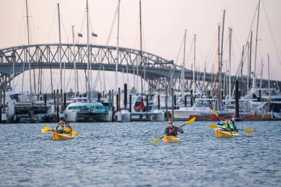 Auckland: City Lights Night Kayak Tour - The route changes: Viaduct Harbour, Jellicoe Harbour, or North Wharf