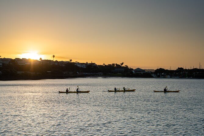 Auckland City Lights Night Kayaking Tour - Why Auckland City Lights Kayaking feels different after dark