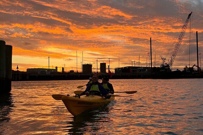 Auckland City Lights Night Kayaking Tour - Route highlights that change with schedules