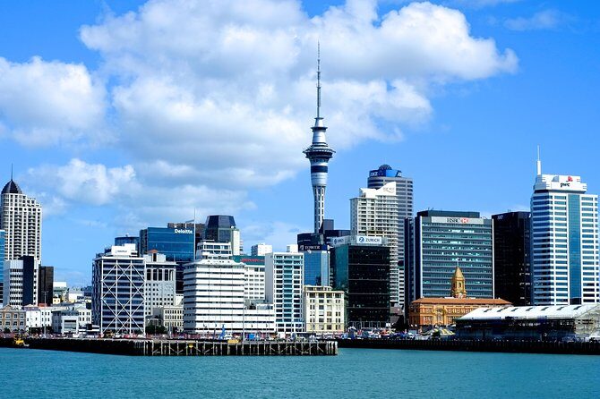 Auckland City & Native Forest Experience - Fully Guided Day Tour - Key things that make this tour worth your time