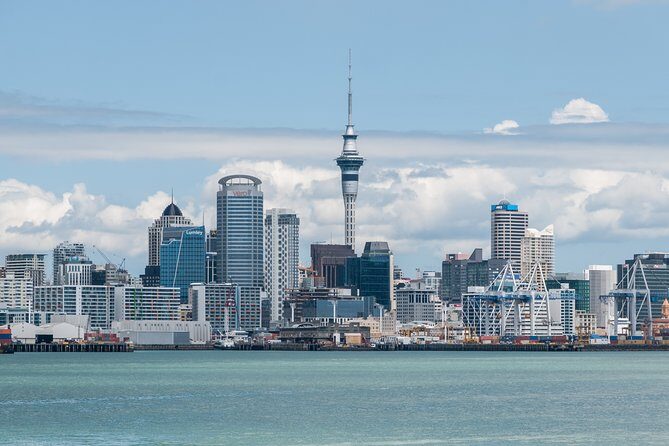 Auckland City & Native Forest Experience - Fully Guided Day Tour - Bastion Point and Parnell Rose Gardens: Skyline Views Plus a Local Town Feel