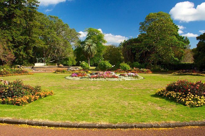 Auckland City & Native Forest Experience - Fully Guided Day Tour - What You Should Bring (So the Day Stays Fun)