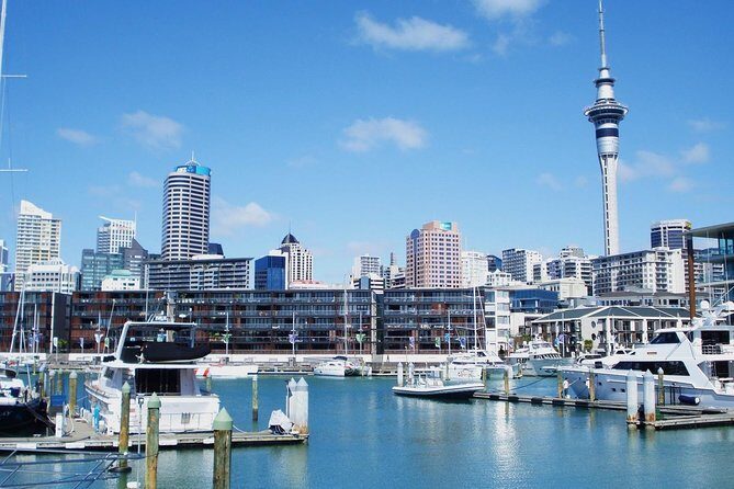 Auckland City Private Tour for Couples. Be chauffeur driven with added extras. - Stop 4: Parnell village and rose gardens for a softer, classic Auckland feel