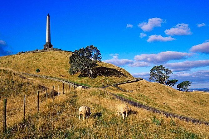 Auckland City Private Tour for Couples. Be chauffeur driven with added extras. - The 9:00am timing: fitting Mount Eden, museum gardens, and Devonport