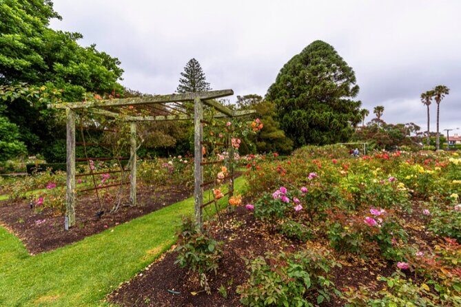 Auckland City Self Guided Walking Tour with an APP - Auckland Town Hall and the University Clock Tower: community, LGBTQ+ history, and a timepiece icon