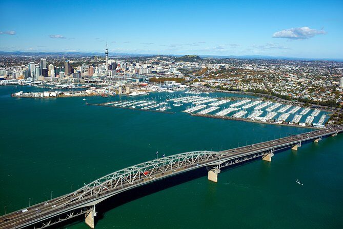 Auckland City Small-Group Morning Discovery Tour - Rangitoto Island sightings: why this volcano shows up everywhere