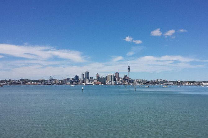 Auckland City Small-Group Morning Discovery Tour - Westhaven Marina: a fast lesson in Auckland’s yacht-and-water scale