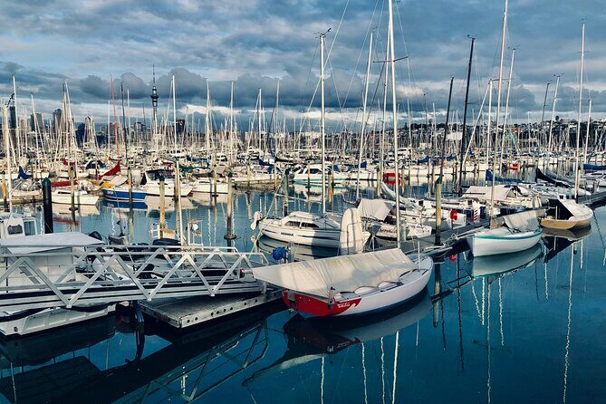 Auckland City Top Sights Half Day Tour - Small Group - Key Points at a Glance
