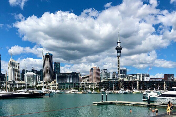 Auckland City Top Sights Half Day Tour - Small Group - Harbour Bridge and Westhaven Marina: Auckland’s Working Waterfront