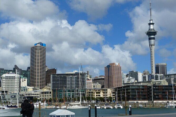 Auckland City Top Sights Half Day Tour - Small Group - Mount Eden (Maungawhau): The City’s Highest Lookout