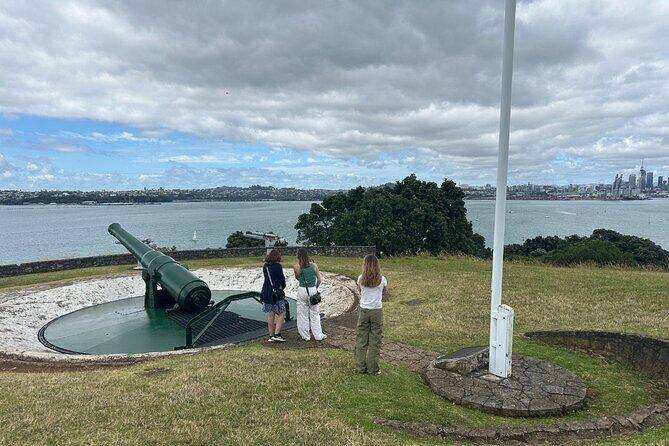 Auckland City Top Sights Half Day Tour - Small Group - The Pace and What to Expect Walking