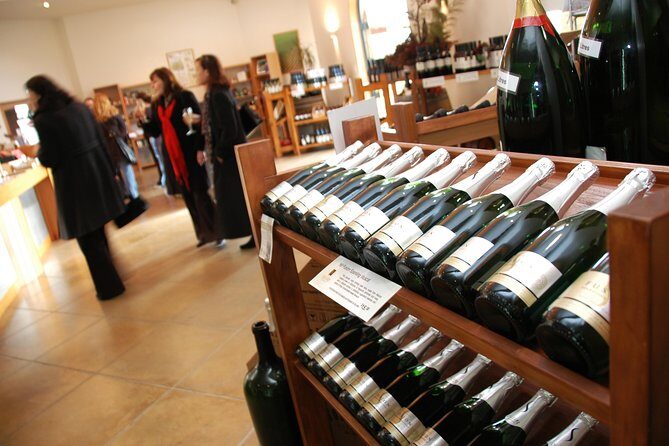 Auckland City Tour & Kumeu Wine Country Includes Wine Tastings & Lunch - Westhaven Promenade: Marina Views Without the Detour Cost