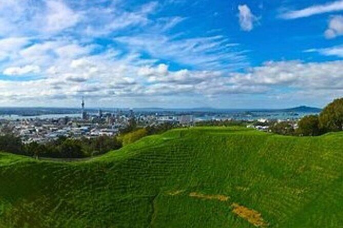 Auckland City Volcano & Scenic Highlights Tour - Price and value: what $130.32 buys you here