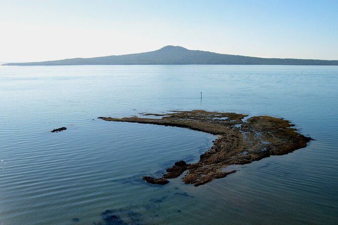 Auckland Coastal Experience - Small Group City & Beach Tour Incl. Wine Tasting - Auckland coast-to-coast: why this route feels so efficient