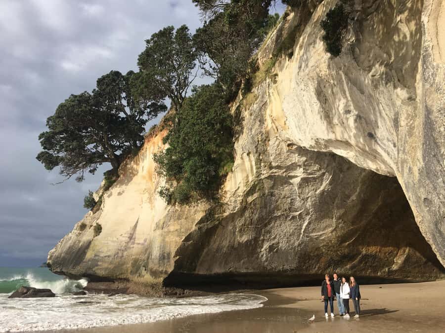 Auckland: Coromandel Day Tour including Hot Water Beach - The Auckland Pickup and Mercedes Comfort You’ll Actually Notice
