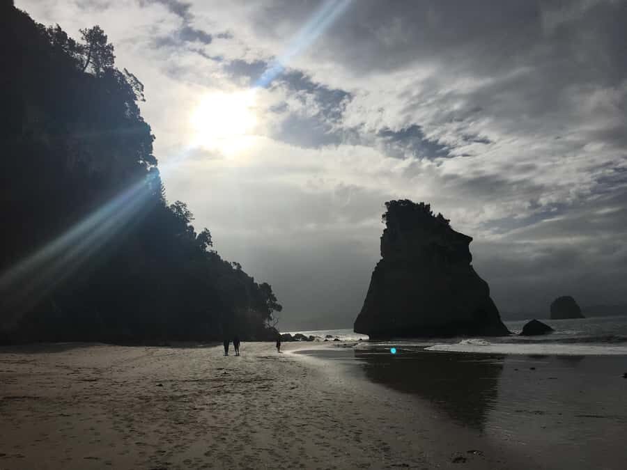 Auckland: Coromandel Day Tour including Hot Water Beach - Hot Water Beach: Dig Your Own Pool, Then Wait for the Tides to Play Along