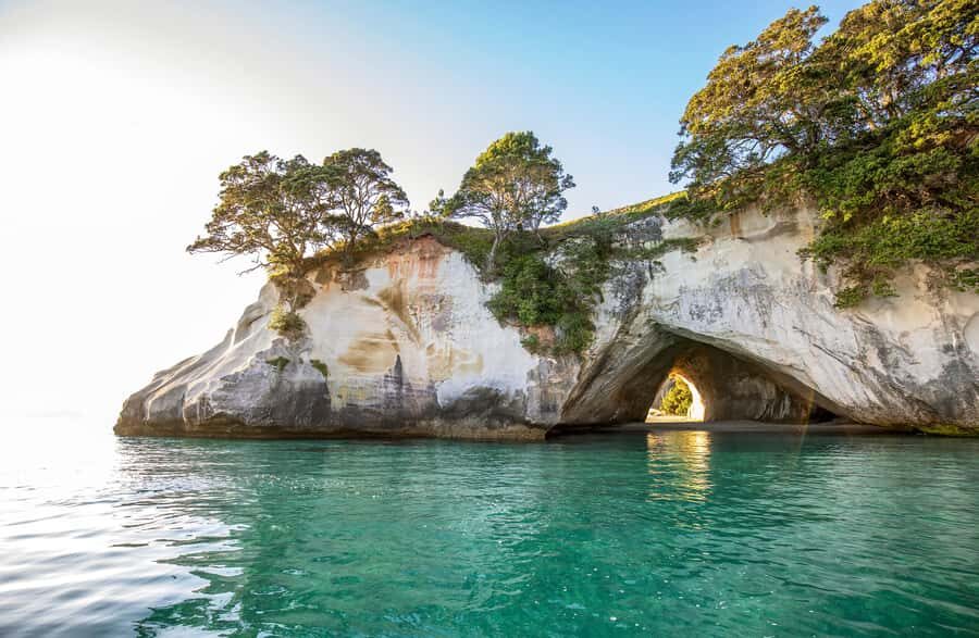 Auckland: Coromandel Driving Creek & Cathedral Cove Day Tour - Key Things You’ll Notice on This Coromandel Day