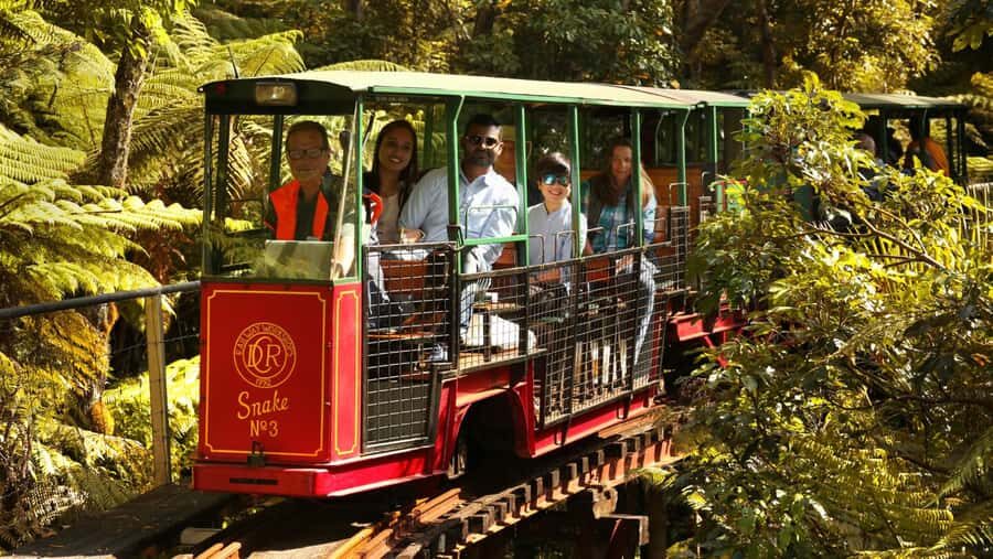 Auckland: Coromandel Driving Creek & Cathedral Cove Day Tour - Leaving Auckland Early: Why This Day Works (Even If It’s Long)