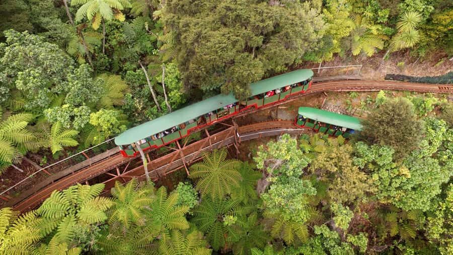 Auckland: Coromandel Driving Creek & Cathedral Cove Day Tour - Driving Creek Railway: Art, Engineering, and Forest Tunnels