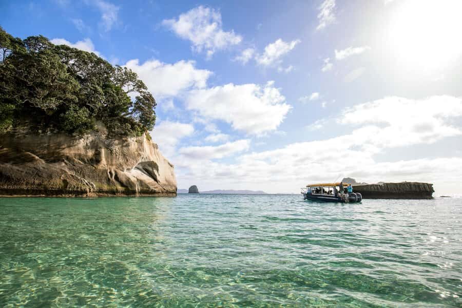 Auckland: Coromandel Driving Creek & Cathedral Cove Day Tour - Lost Spring Thermal Pools: The Reset Between Rail and Beach Walking