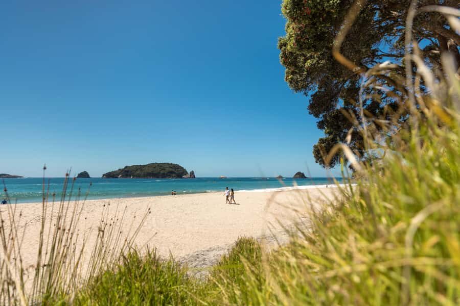 Auckland: Coromandel Driving Creek & Cathedral Cove Day Tour - Whitianga Break Time: Where Lunch Fits (and Where Time Goes)