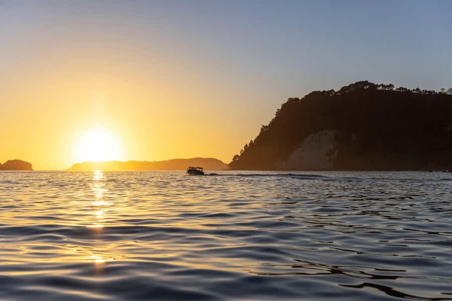 Auckland: Coromandel Driving Creek & Cathedral Cove Day Tour - Price and Value: Is $298 Worth It?