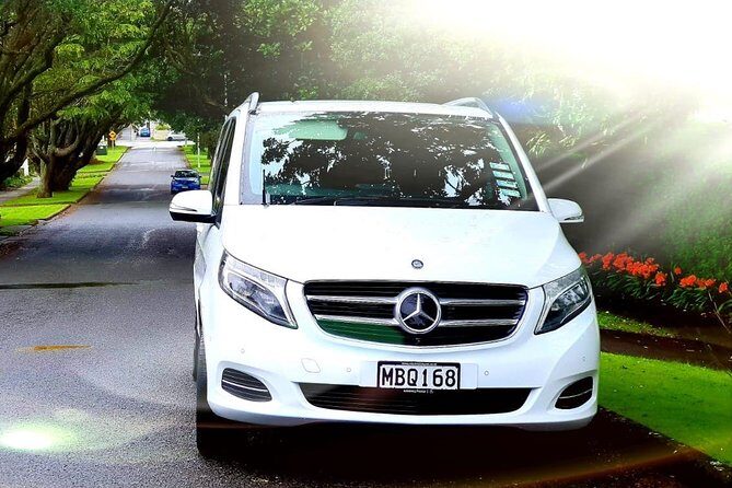 Auckland Cruise/Wharf & Airport Transfers - Key things to know before you go