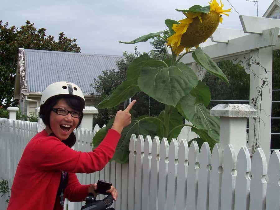 Auckland: Devonport Village Segway Tour - From the Devonport Ferry Terminal to Victoria Wharf