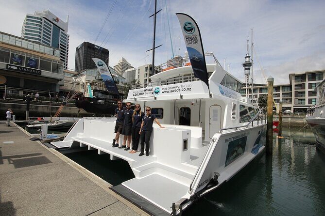 Auckland Dolphin and Whale Watching Eco-Safari Cruise - What Wildlife You Can Realistically Expect in Hauraki Gulf
