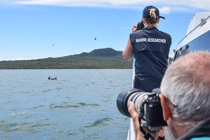 Auckland Dolphin and Whale Watching Eco-Safari Cruise - Deck Tactics and Photo Tips (So You Don’t Miss the Moment)