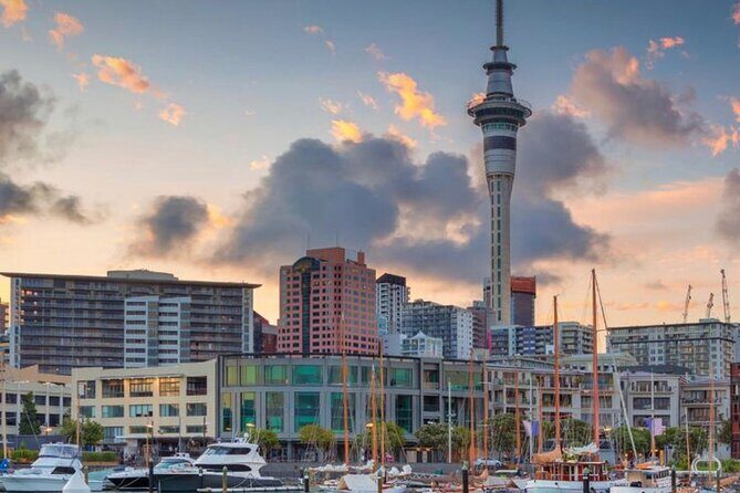 Auckland Downtown Hotel Transfers to/from Cruise Ship in Minivan - How to Plan Your Day Around a 15-Minute Transfer